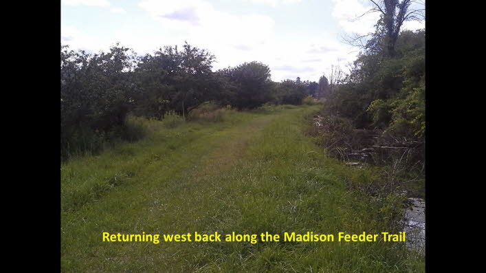 Slide37