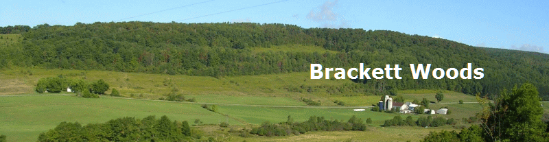 Brackett Woods