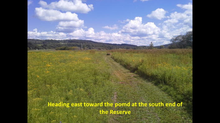 Slide08