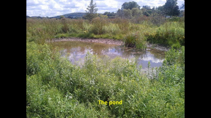 Slide11