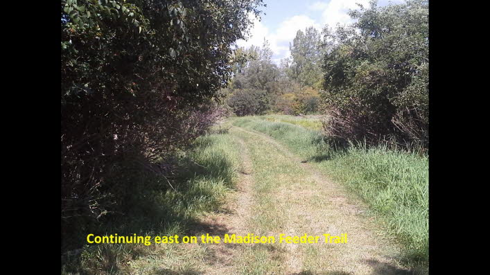 Slide21