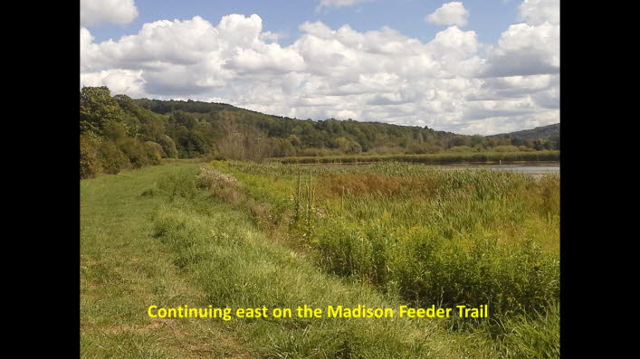 Slide25